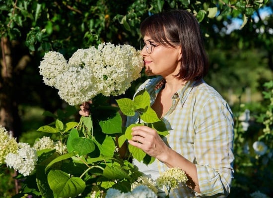 Femme-hortensias
