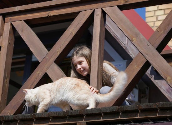 Enfant et chat sur un balcon non sécurisé. 