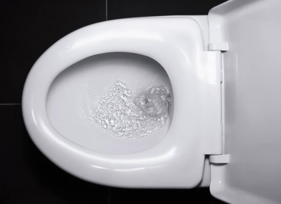 Chasse d'eau 