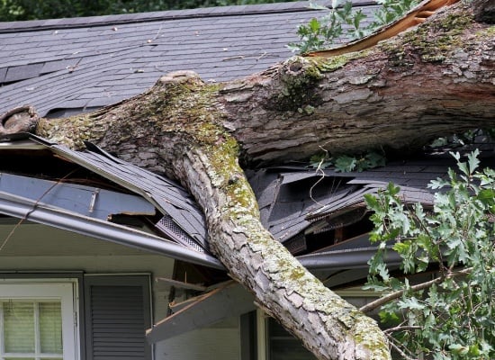 Arbre tombé sur une maison car l'abattage n'a pas été effectué par un professionnel