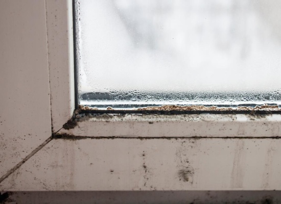 moisissure sur les bords d'une fenetre en pvc blanc
