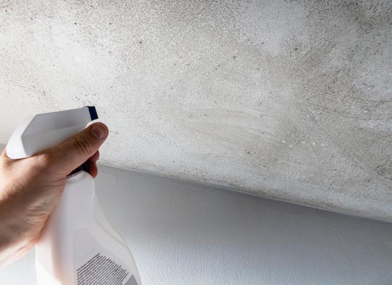 nettoyage-moisissure-plafond-salle-de-bain