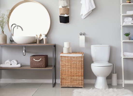 déboucher-toilettes-WC