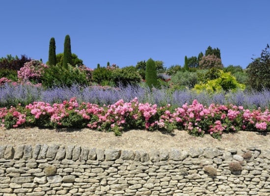 Enrochement et terrain fleuri