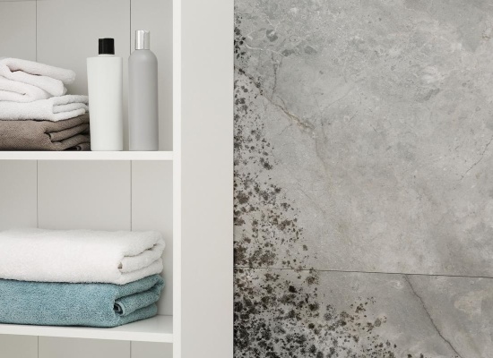 humidité mur salle de bain