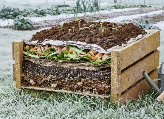 Jardinage en lasagne