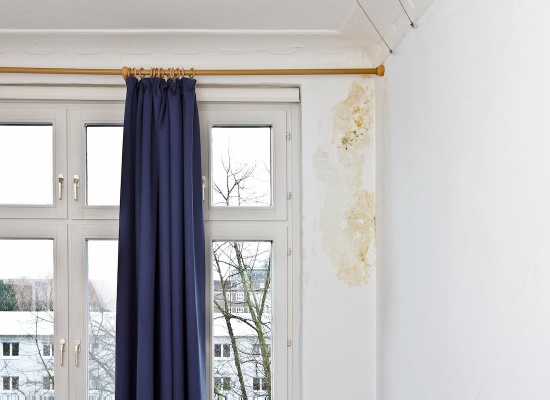 moisissure chambre