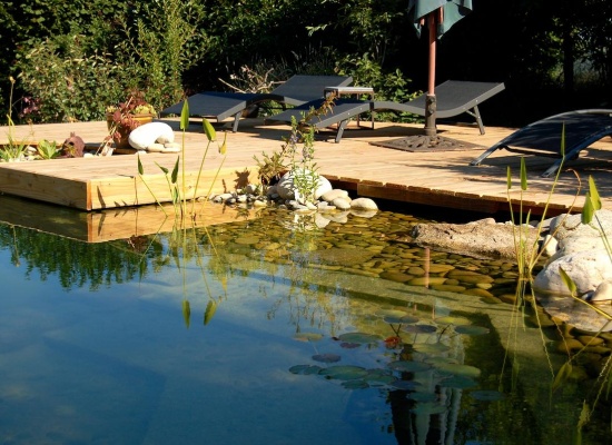piscine naturelle avec plage bois