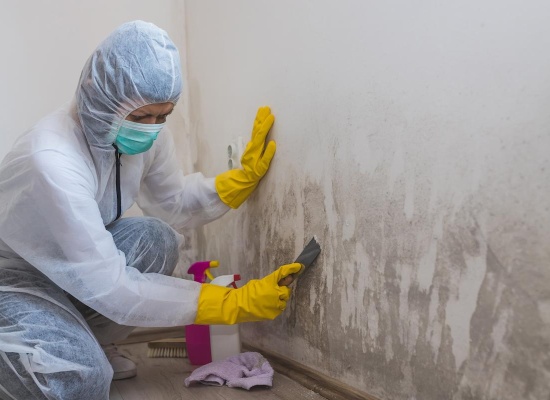 femme nettoyant un mur humide