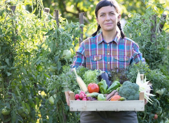 premier potager