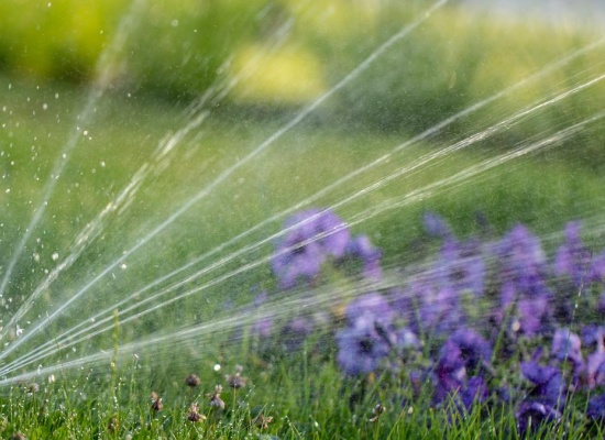 Arrosage automatique du jardin
