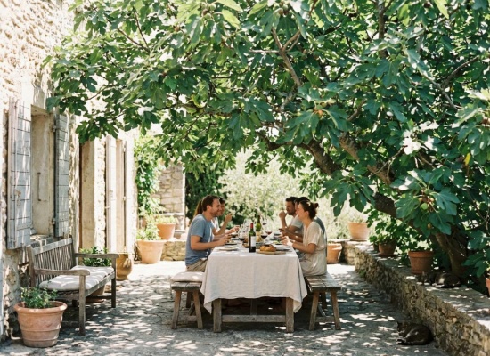une table de convives à l'ombre d'un figuier 