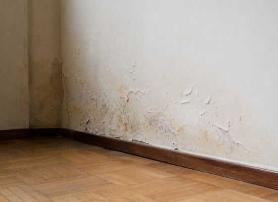 mur mitoyen humide