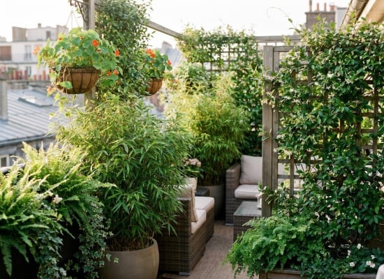 un balcon rempli de plantes, idéal pour apporter un peu de fraicheur