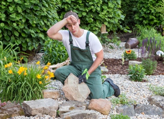 Les secrets pour prendre soin de votre jardin pendant la canicule que les jardiniers gardent secrets