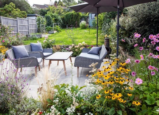jardin fleuri été