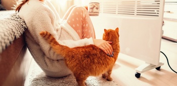 Bien choisir son radiateur électrique