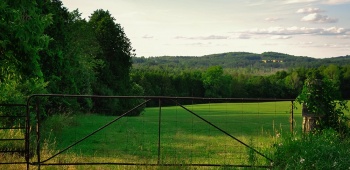 Bornage d'un terrain : la démarche
