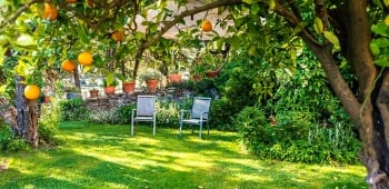 Aménagement du jardin - prix