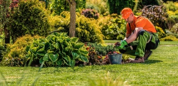 Prix pour l'entretien d'un jardin