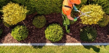 Ootravaux