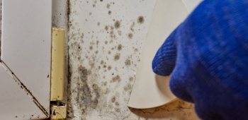 couttraitementhumidite