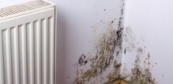 Photo d'un mur avec traces humidités