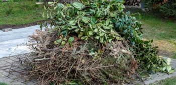 Comment se débarrasser de ses déchets de jardin