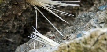 Béton fibré : le guide complet