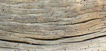 Ootravaux