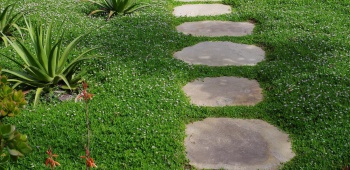 Comment réussir la pose de pas japonais dans un jardin ?
