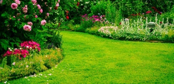 fertilisation-pelouse-ootravaux