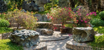 Comment créer un jardin paysager qui vous ressemble ?
