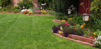 Comment créer un parterre de fleurs sans entretien : les astuces