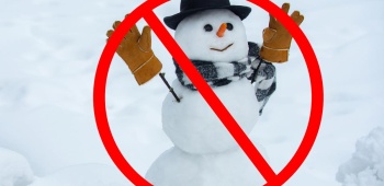 bonhomme-neige-gazon