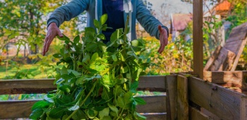Une personne en train de jeter ses déchets verts.