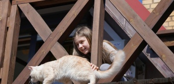 Enfant et chat sur un balcon non sécurisé.