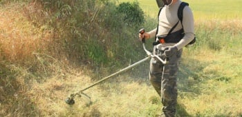 debroussailler son terrain
