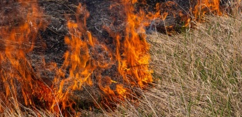 incendie dans jardin