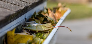UNE-goutiere-feuilles