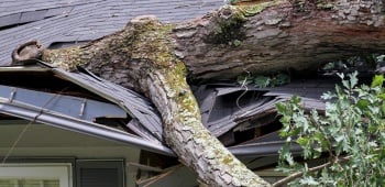 Arbre tombé sur une maison car l'abattage n'a pas été effectué par un professionnel