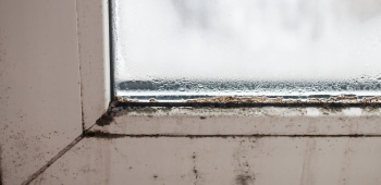 moisissure sur les bords d'une fenetre en pvc blanc