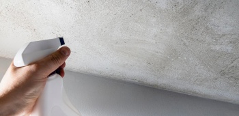 nettoyage-moisissure-plafond-salle-de-bain