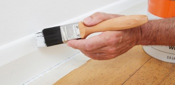 peinture plinthes