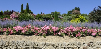 Enrochement et terrain fleuri