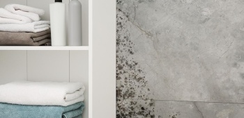 humidité mur salle de bain