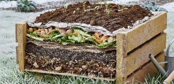 Jardinage en lasagne