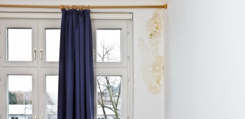 moisissure chambre