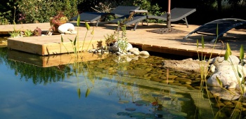 piscine naturelle avec plage bois