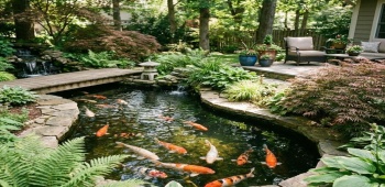 bassin de jardin avec des kois dedans installer par un paysagiste professionnel